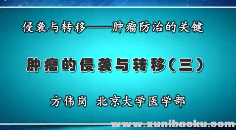 QQ图片20170719091229.png